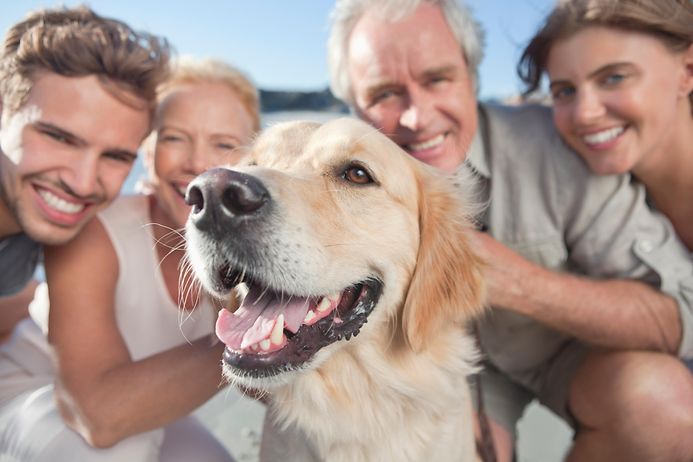 Es bleibt in der Familie: Hundehalter-Haftung (© gettyimages)