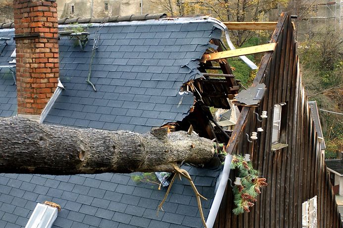 Teuerste Naturkatastrophen in Deutschland: Sturm Jeanett (© dpa)