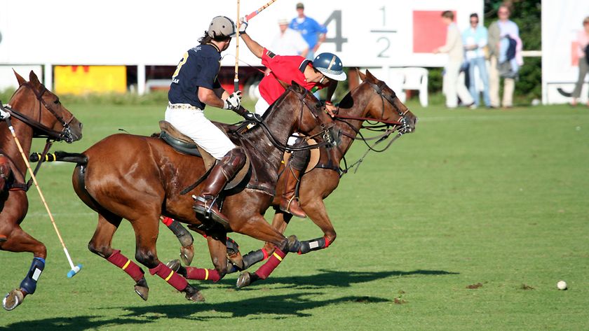 Die 10 teuersten Hobbys (© Gettyimages / FreezingRain)