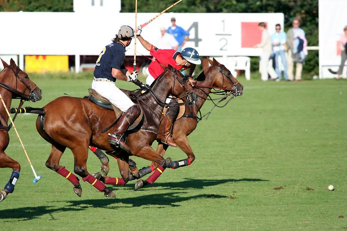 Die 10 teuersten Hobbys (© Gettyimages / FreezingRain)