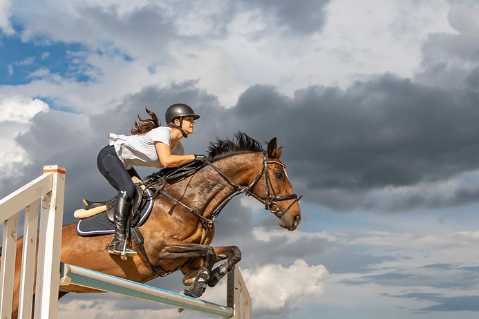 Die teuersten Hobbys: Reiten (© Gettyimages / Saro17)